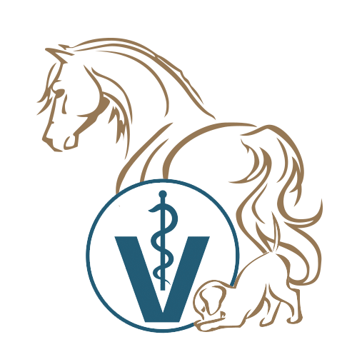 Welpe und Pferd und Tierarztsymbol