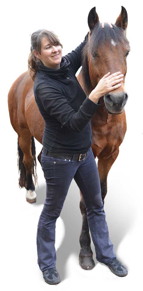 Osteopathie Pferd Pinneberg